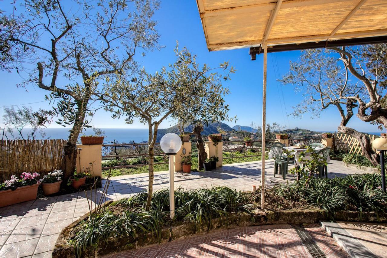 Il Pioppo - Country House Sea View Massa Lubrense Buitenkant foto