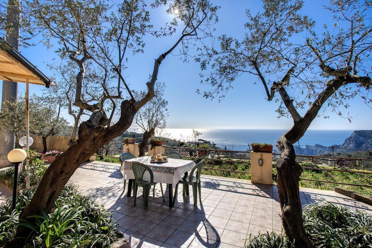 Il Pioppo - Country House Sea View Massa Lubrense Buitenkant foto
